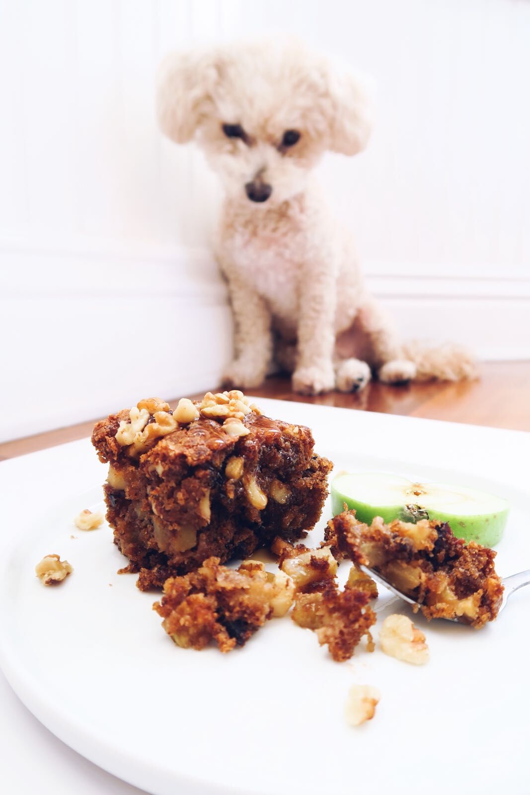 Joie's really hoping I'm sharing!